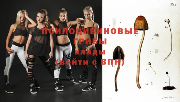 бошки Верхний Тагил