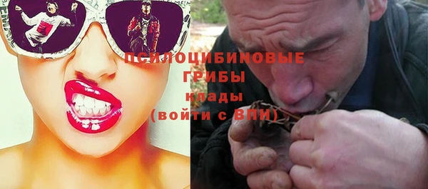бошки Верхний Тагил