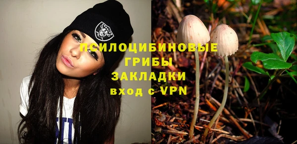 a pvp Верея